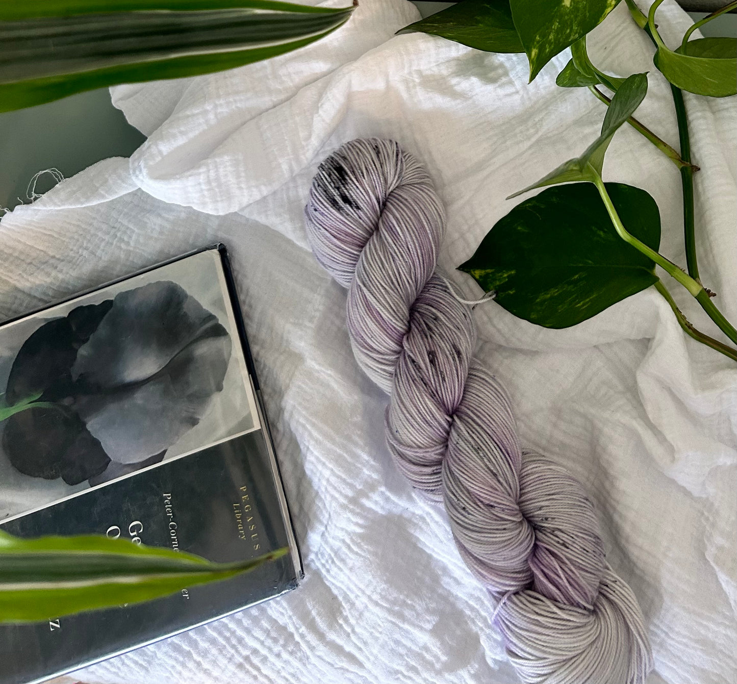 Black Iris