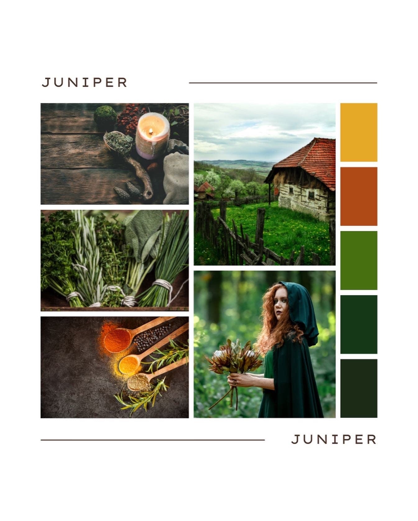 Juniper